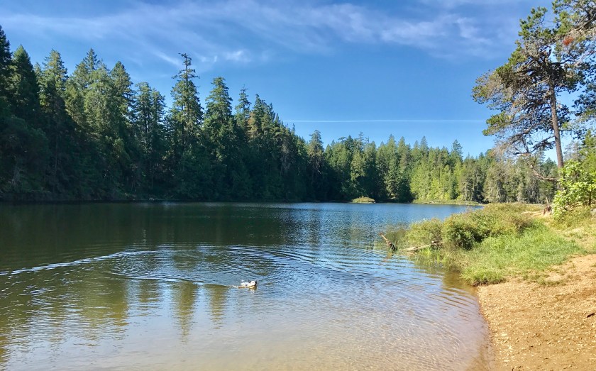 Illusion Lakes - Qualicum Beach area