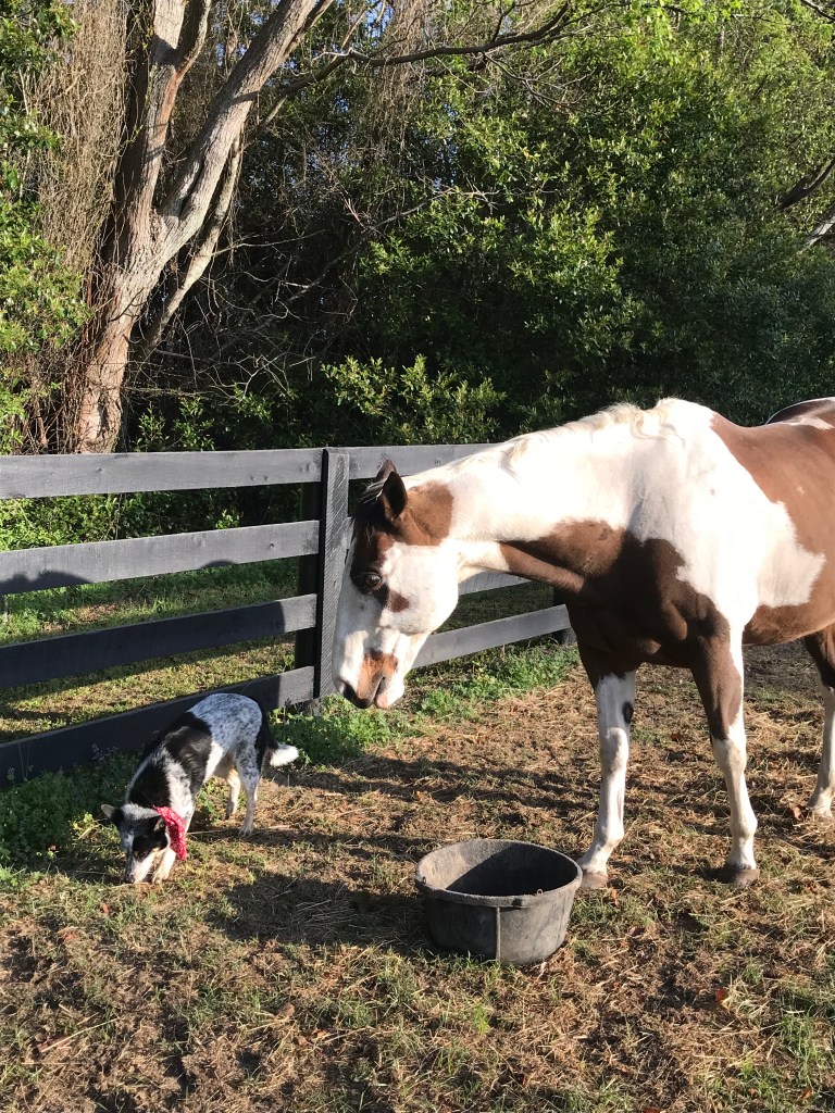 CZdk3zzfRKmDDLFeaCUZjw