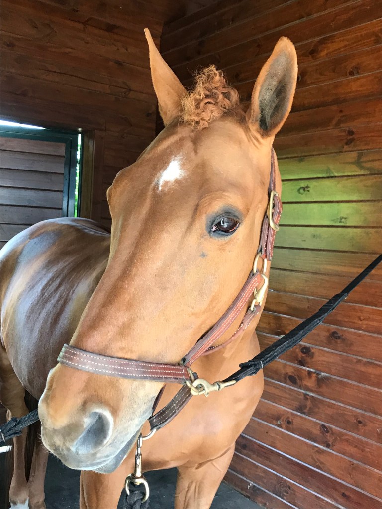 eZ4sB8N9Qs+WmI4PYTFTvg