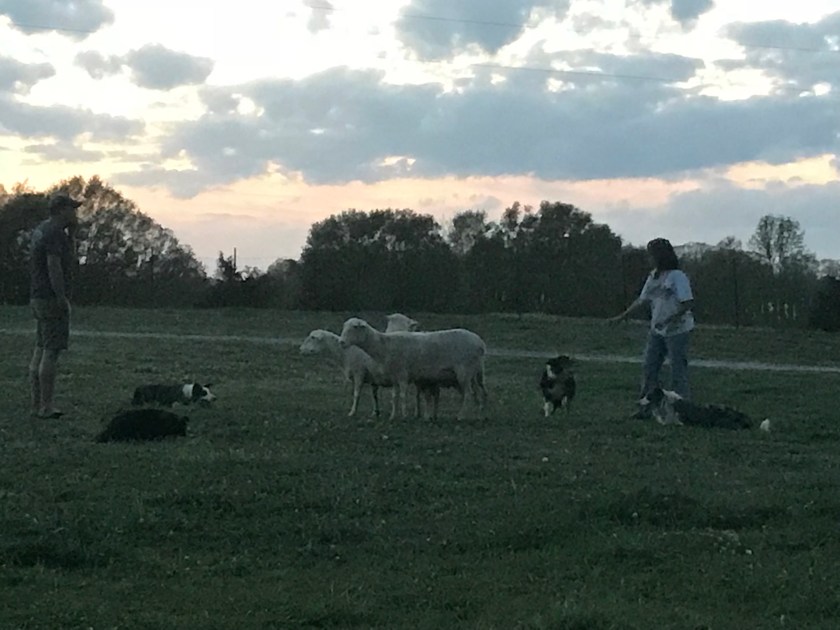 SYaUd44bSxWy4MDAe+peHg