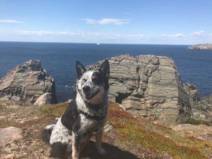 09wNDVn9RQK6Kjz0iT+WDQ